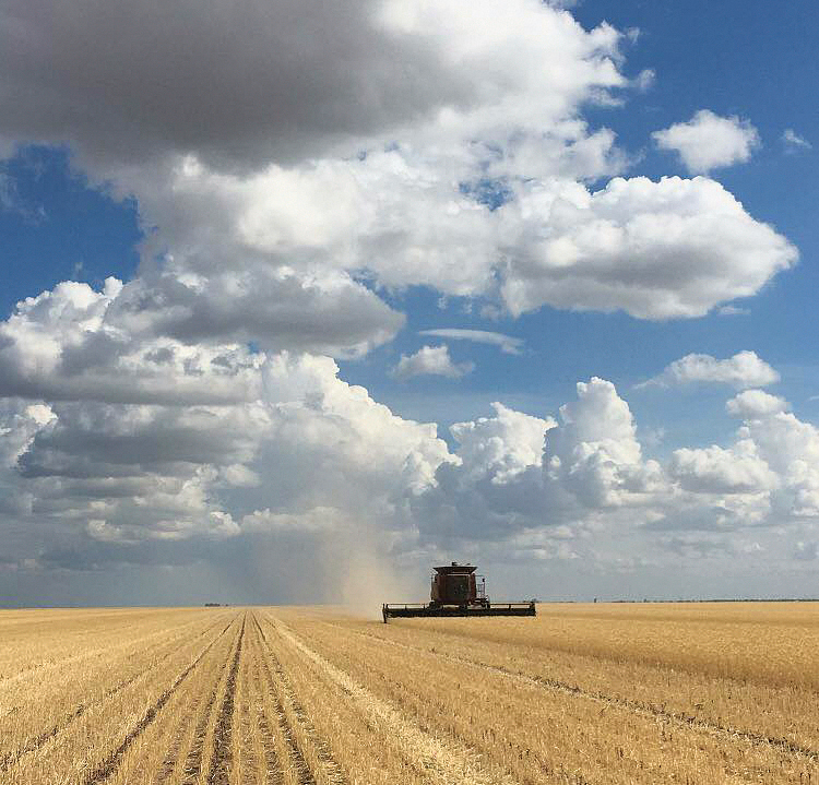 Scenic views greet Jeff Gregory as he combines wheat across the country. Photos courtesy of the Gregory family