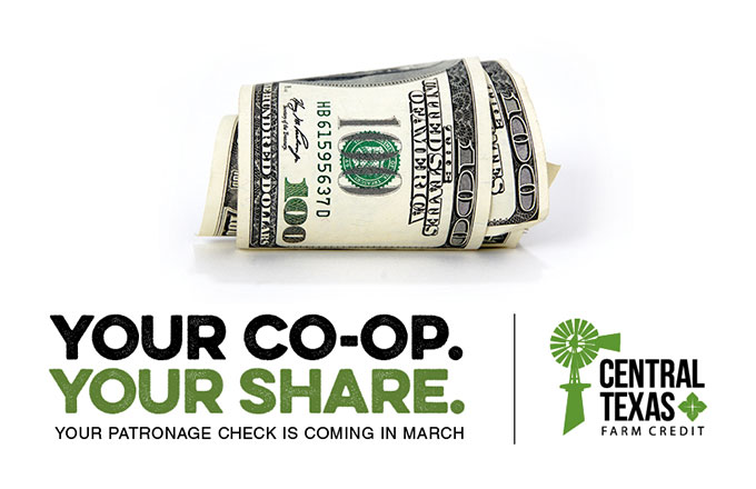 You Co-op. Your share.